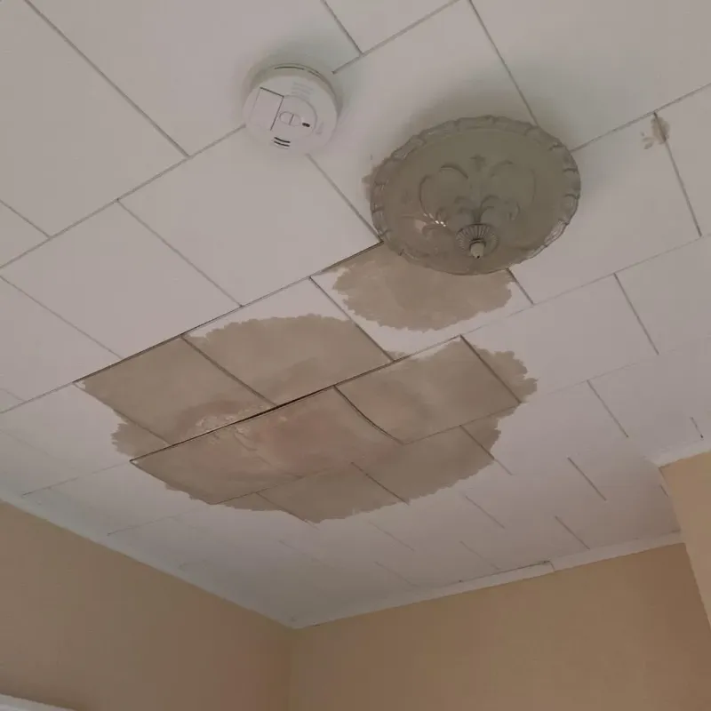 Ceiling Water Damage Repair in Braddock, PA